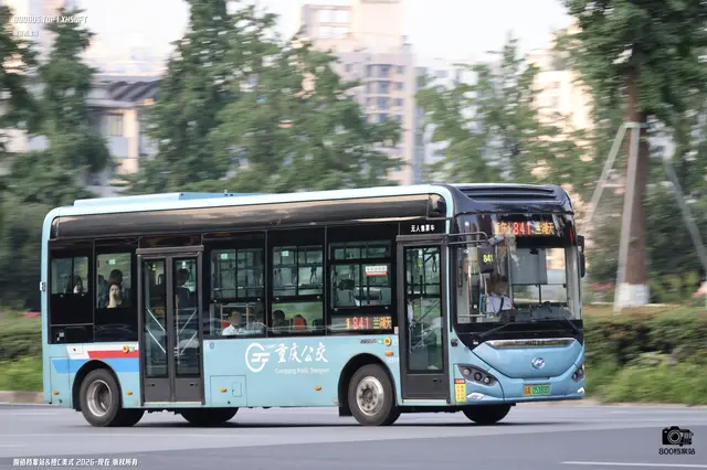 800BUS