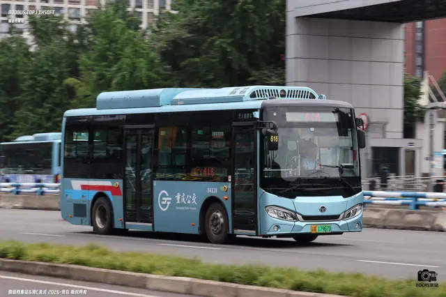 800BUS