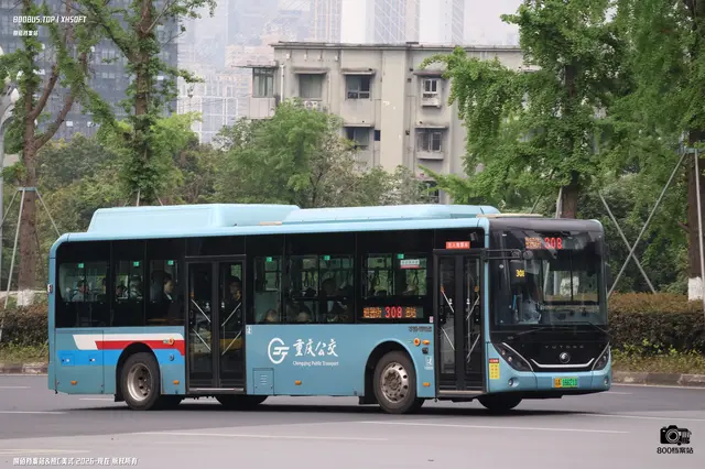 渝A 16621D