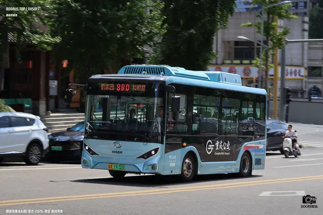 800BUS