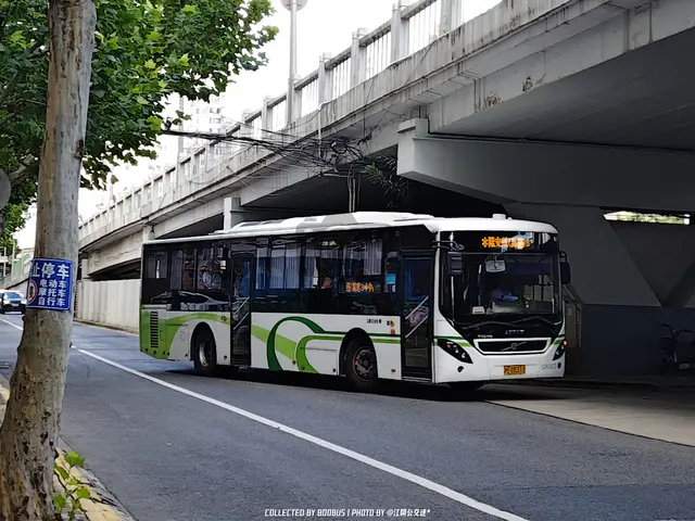 沪E D5312