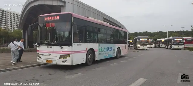 沪D G3769