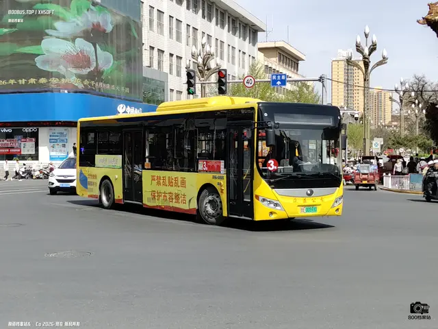 甘E 00593D