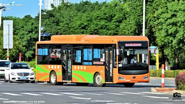 800BUS