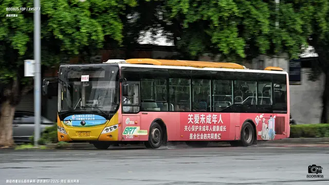 800BUS