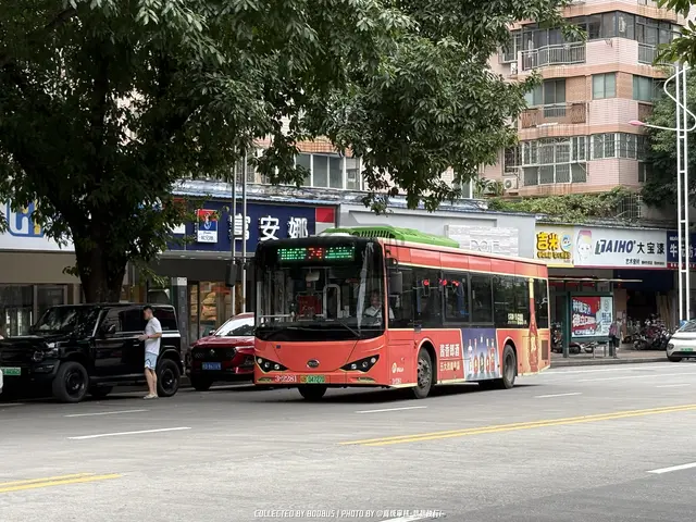 800BUS