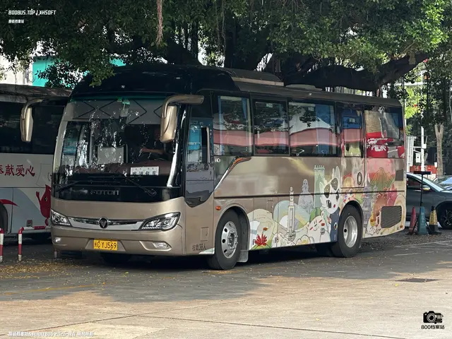 闽C·YJ569