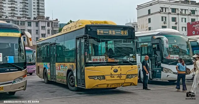 苏C 36062