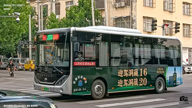 800BUS