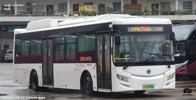 桂A 01355D