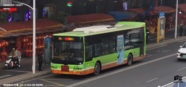 桂A AY501