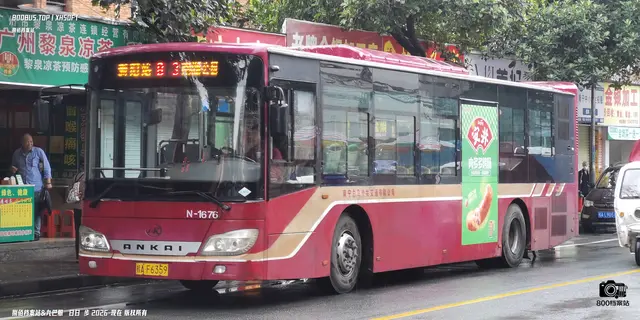 桂A F6359