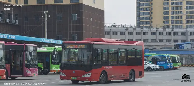 桂A 03082D
