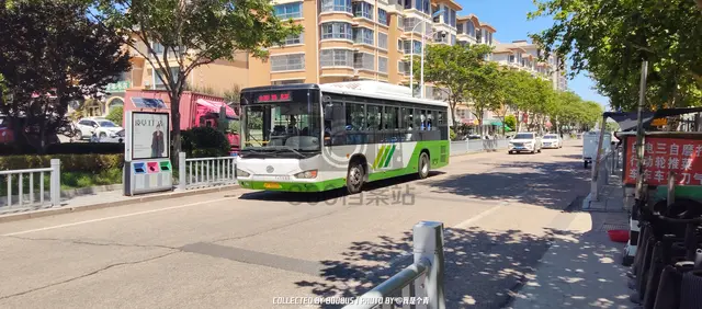 鲁K 86336