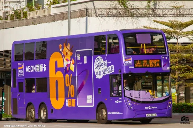 VS 2933