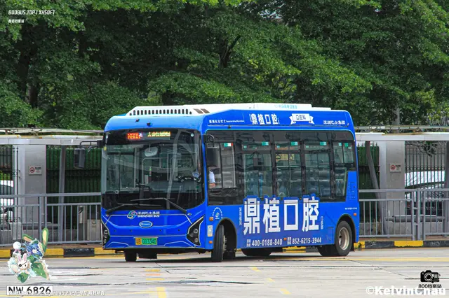 800BUS