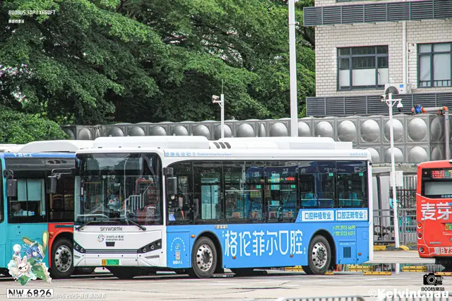 800BUS