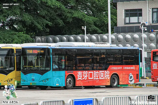 800BUS