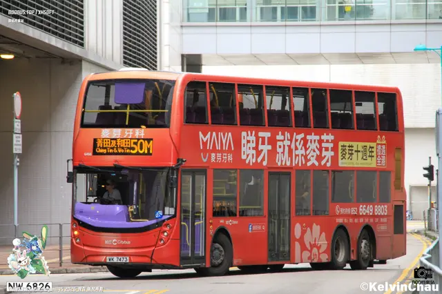 800BUS