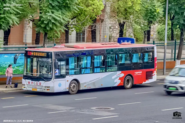 苏A E2915