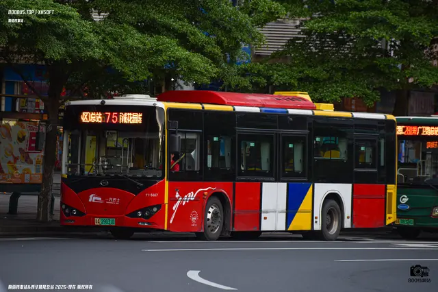粤A 29031D