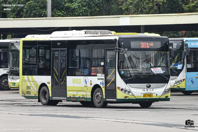 800BUS