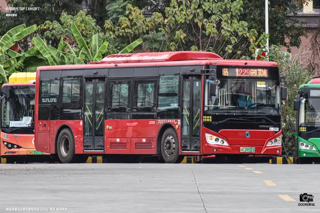 粤A 29532D