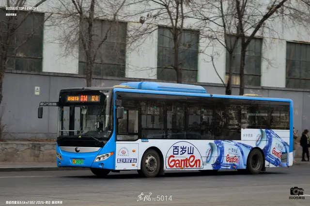 冀B 09233D
