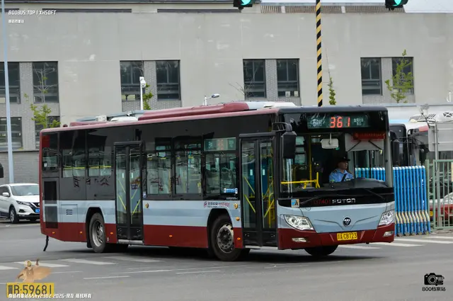 800BUS
