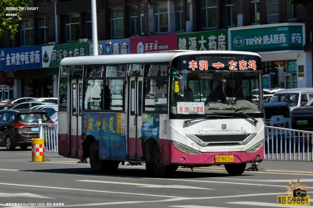 冀B W4206