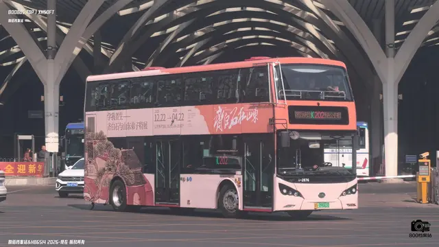鲁A 09003D
