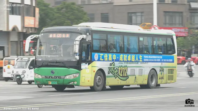 皖F 08282D