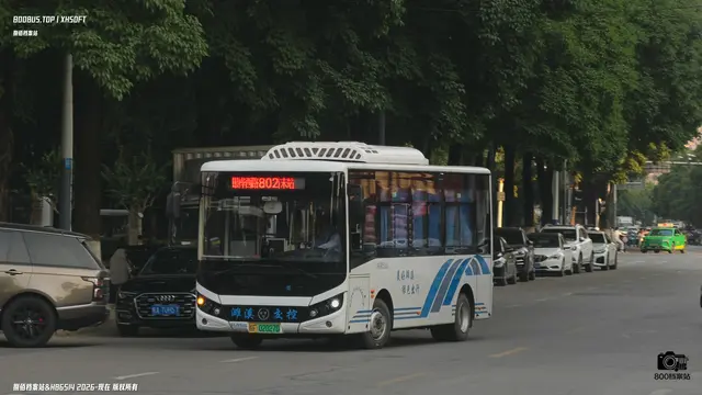皖F 02027D