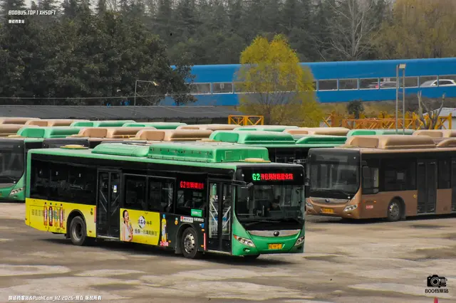 豫A 9872J