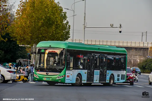 800BUS