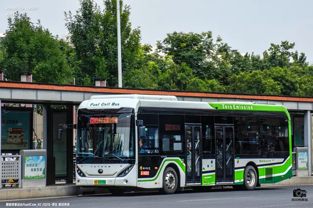 800BUS