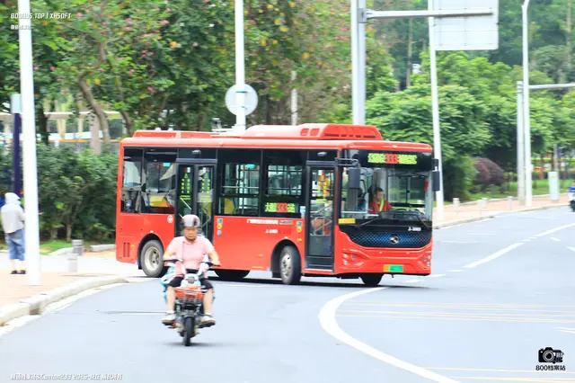 粤A 44119D