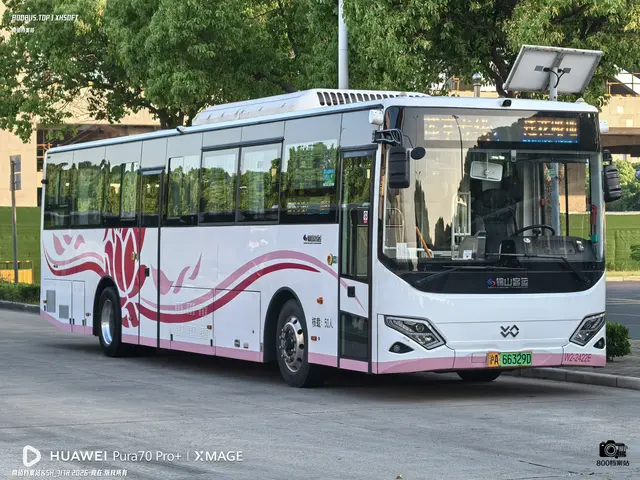 沪A 66329D