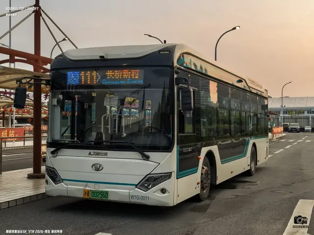 沪A 00256D
