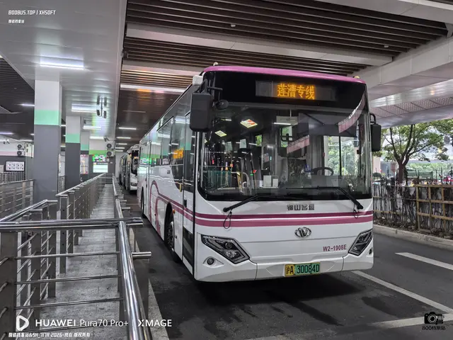 沪A 30084D
