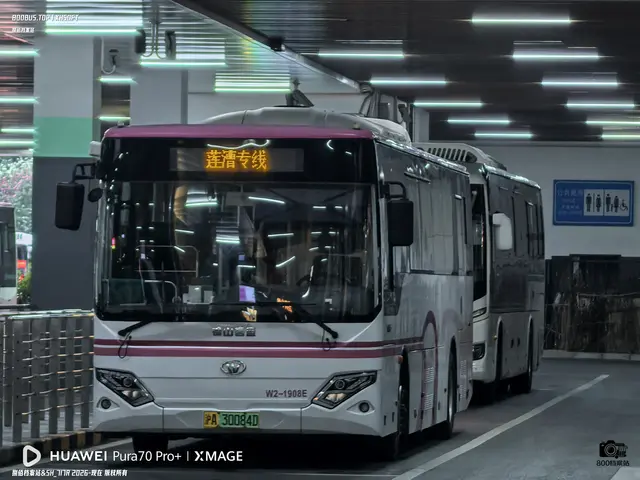 沪A 30084D