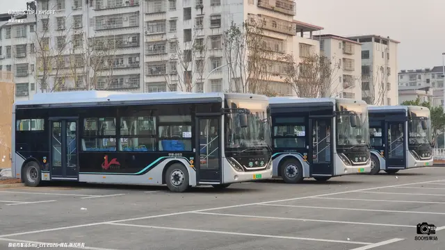 赣B 02430D 赣B 01775D