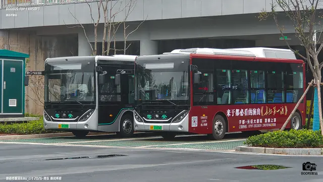 赣B 02530D 赣B 01054D
