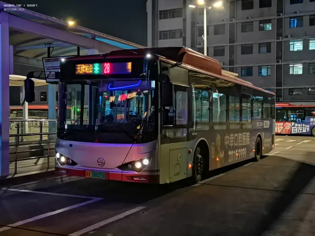 800BUS