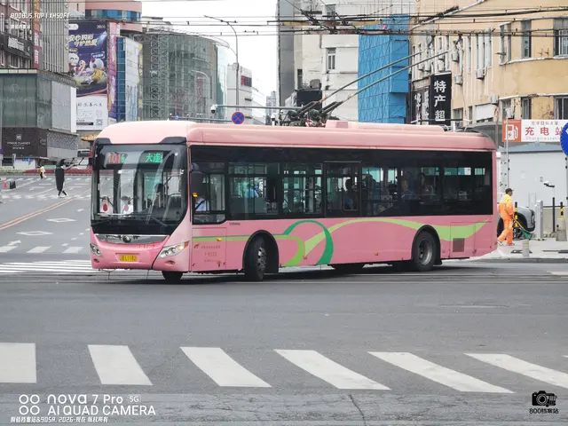 辽B L1182