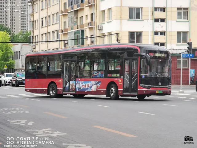 辽B 03610D
