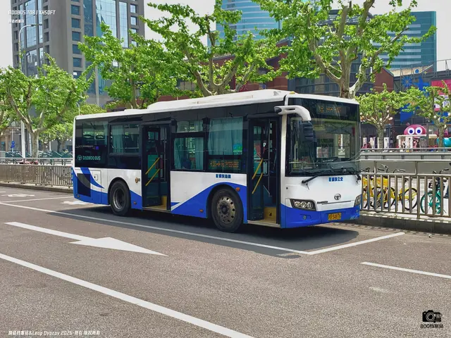 沪D S4876