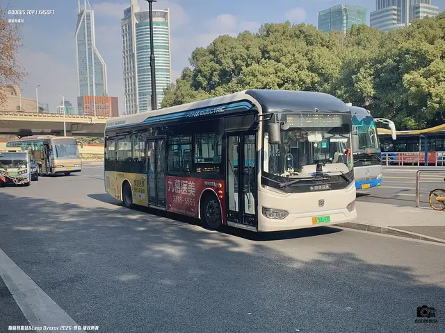 沪A 53193D
