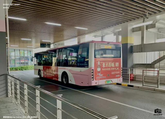 沪A 02592D