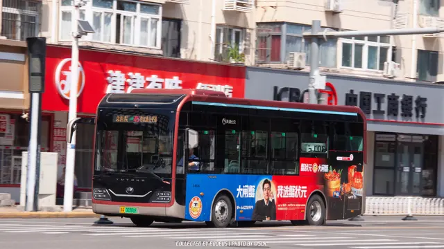 800BUS